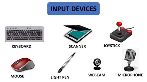 input .